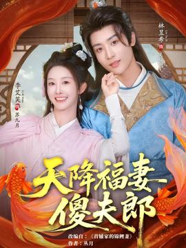天降福妻傻夫郎