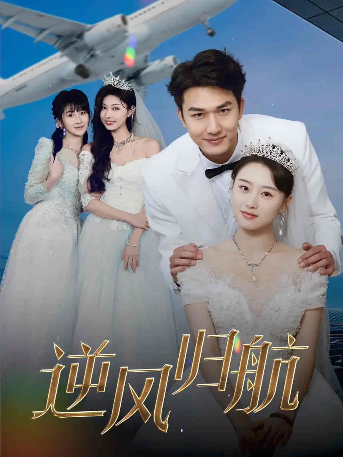 恋爱至上主义区域