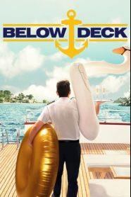 NBA灰熊vs黄蜂20240211