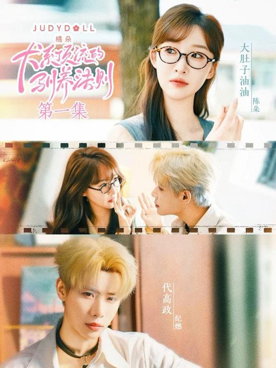 犬系顶流的驯养法则