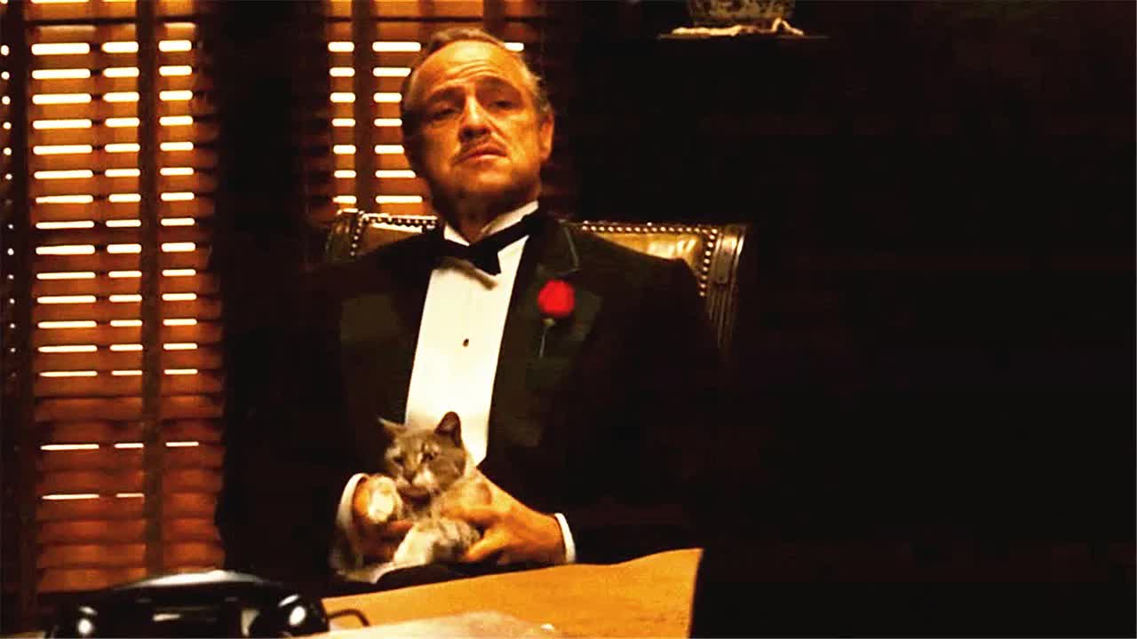 黑帮教父从不收金钱酬劳，只要你一句承诺，天大的事他帮你摆平！