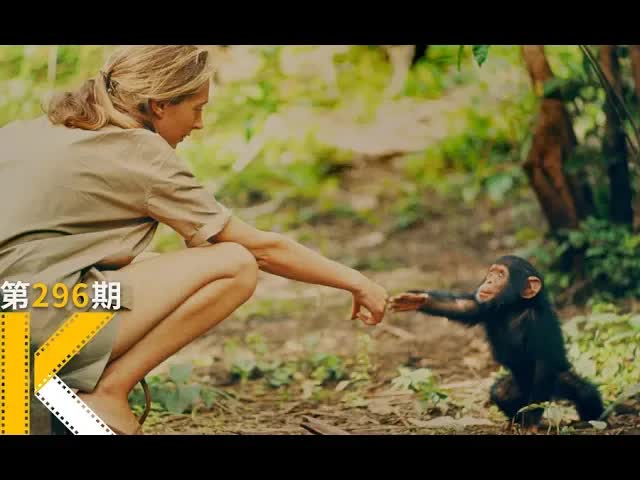 是什么将人和动物最终区别开来？国家地理获奖纪录片《珍》看电影了没