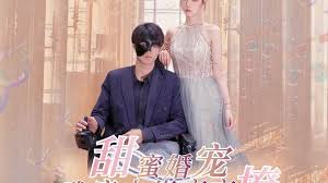 甜蜜婚宠：残疾大佬夜夜撩